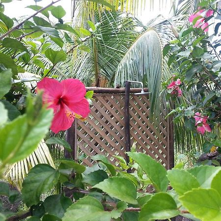 Zanboza Guesthouse La Digue Exterior photo